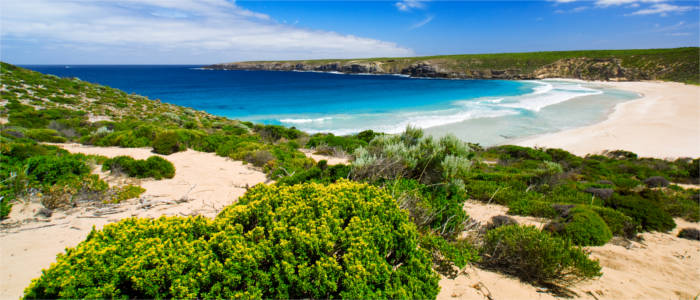 Strand auf Kangaroo Island