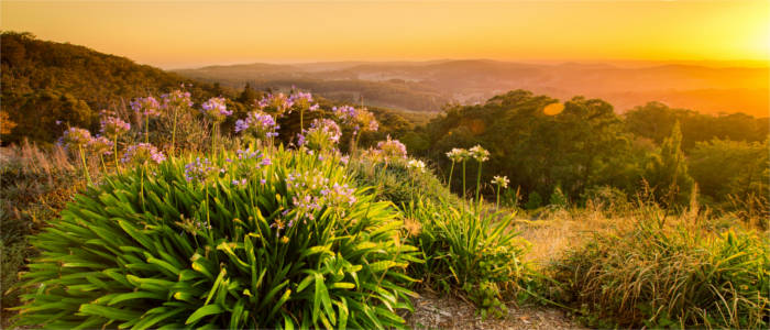 Natur Barossa Valley