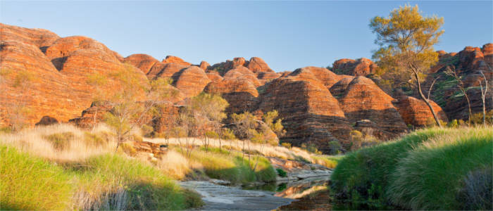 Bungle Bungle - Felsformation in Kimberley