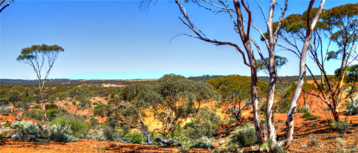 Natürliche Umgebung in Western Australia