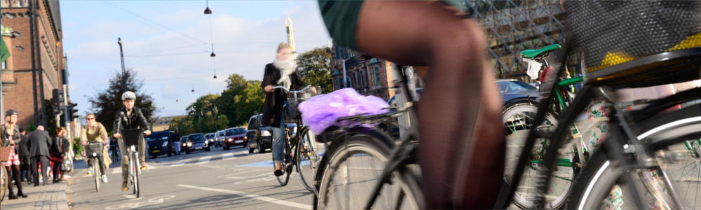 Dänemark mit dem Fahrrad erkunden