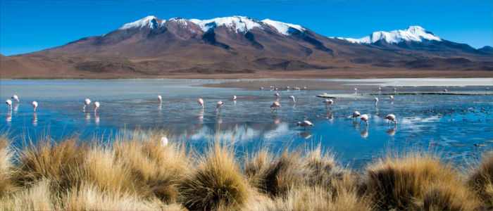 Blaue Lagune in Bolivien