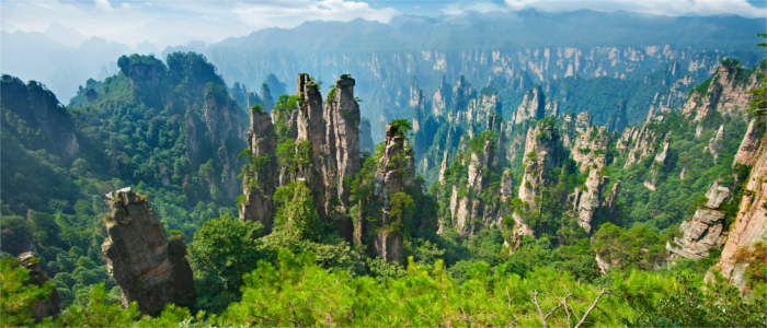 Karst-Landschaft Zhangjiajie