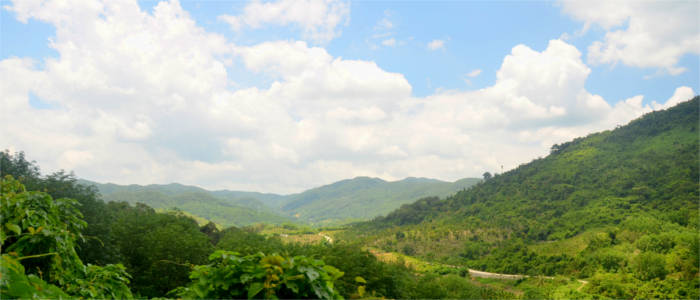 Tropischer Regenwald auf Hainan