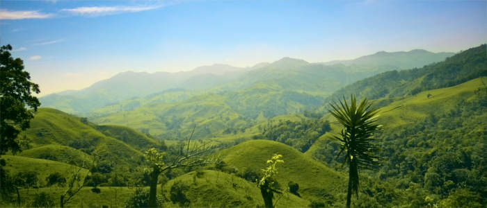 Grüne Hügel von Costa Rica