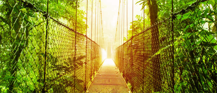Die Urwaldbrücken in Costa Rica