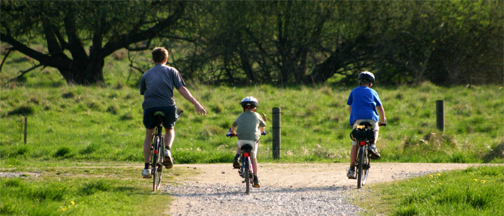 Fahrradfahrer auf Lolland