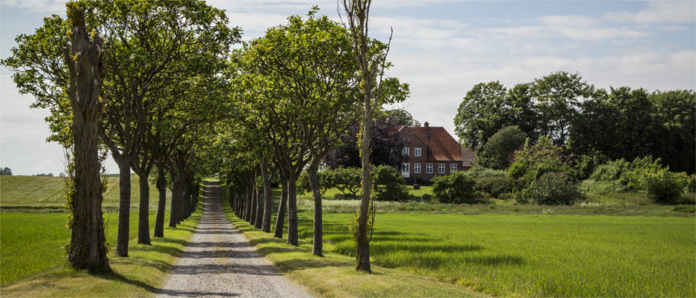 Landschaft Samsö