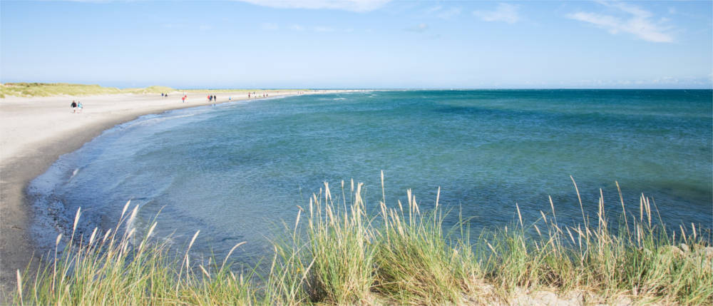 Sandstrand in Nordjütland