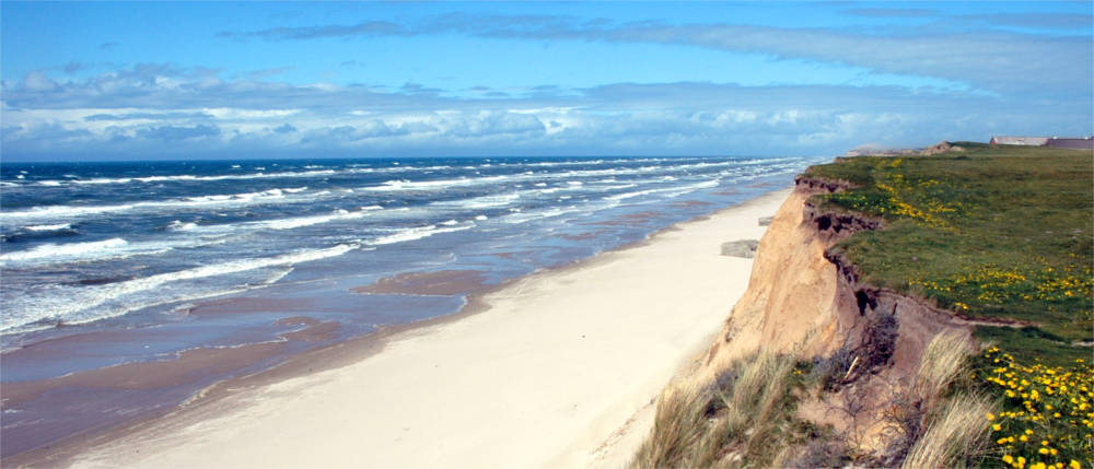 Strand an der Westküste Dänemarks