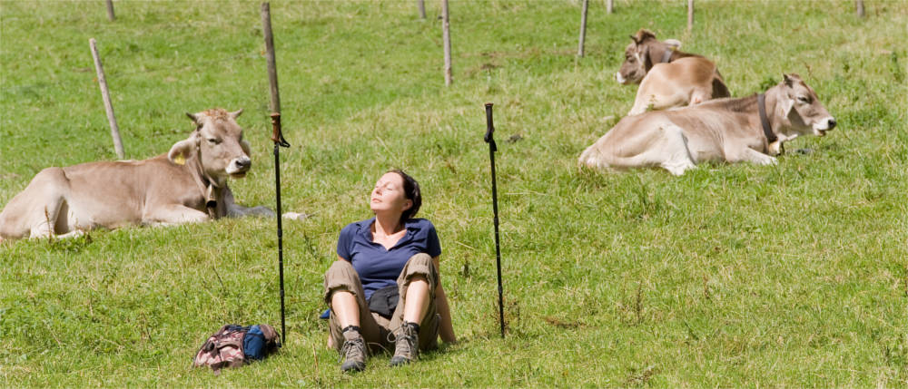 Frau ruht sich auf Weide bei Kühen aus