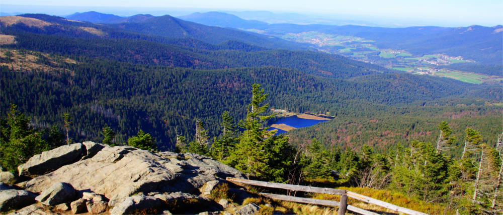 Typische Landschaft im Bayerischen Wald