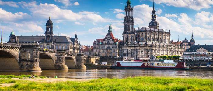 Elbwiesen in Dresden