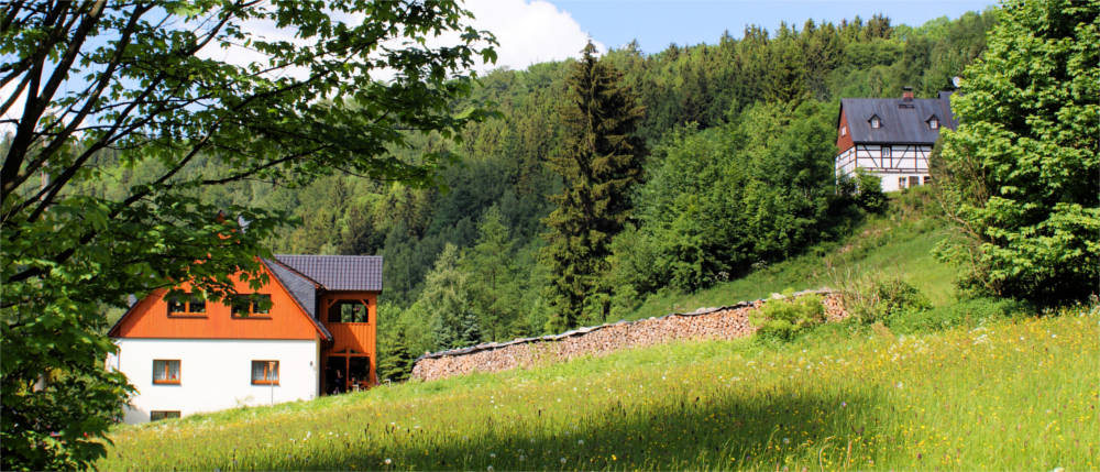 Häuser und Wald im Erzgebirge