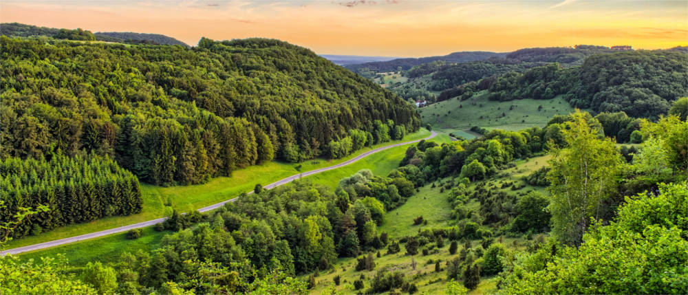 Landstraße durch Wald in Franken