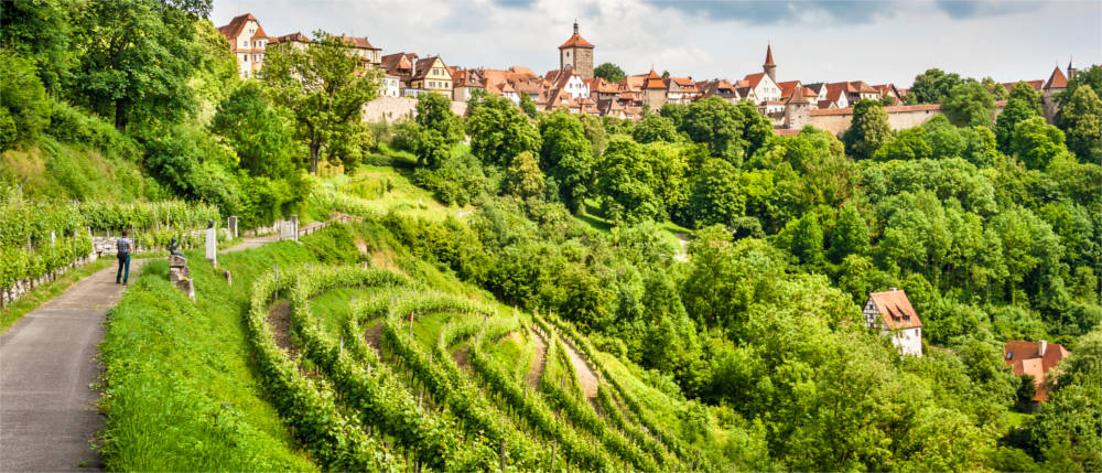 Blick auf Rothenburg o.d. Tauber