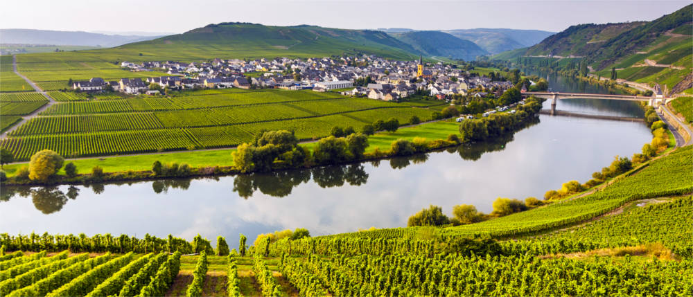 Landschaft im Moseltal