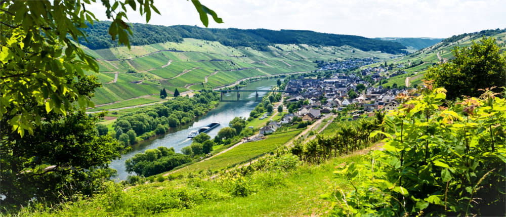 Der Ort Zell im Moseltal