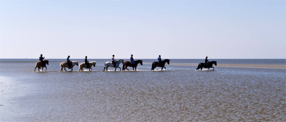 Reitausflug an der Nordsee