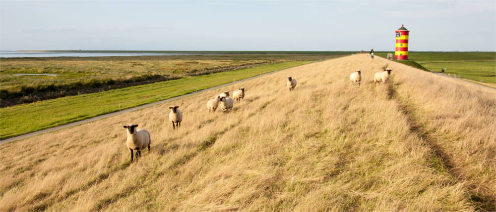 Deich mit Pilsumer Leuchtturm in Ostfriesland