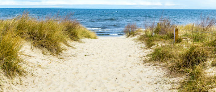 Sanddüne am Baltischen Meer
