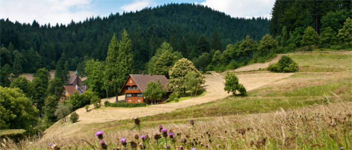 Typisch Schwarzwald