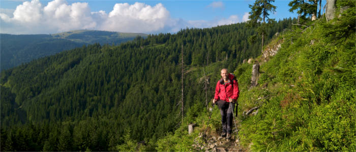 Aktivität im Schwarzwald