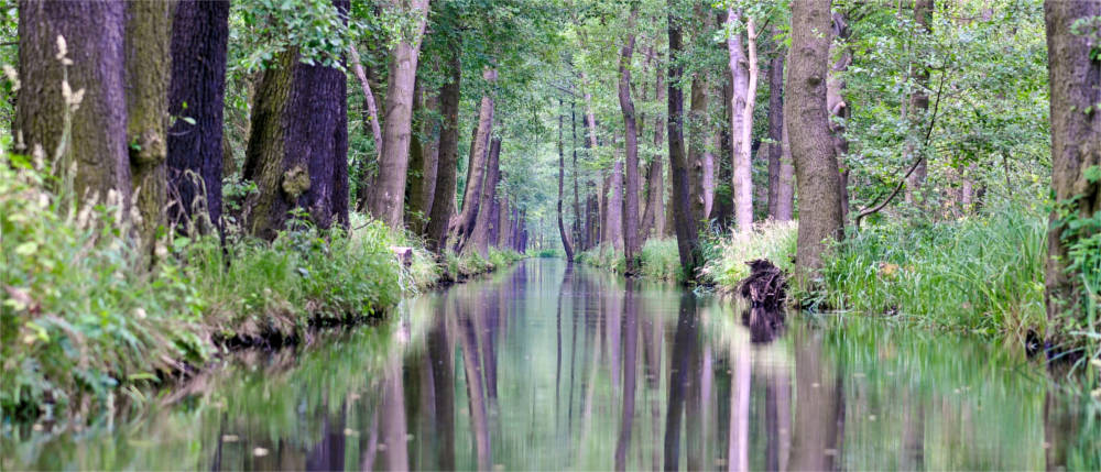 Typisch Spreewald