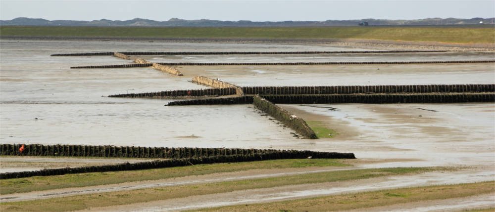 Wattenmeer Nordfriesland