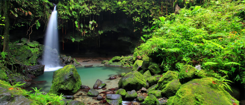 Dominicas Emerald Pool