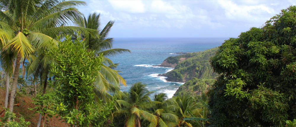 Karibische Tropeninsel Dominica