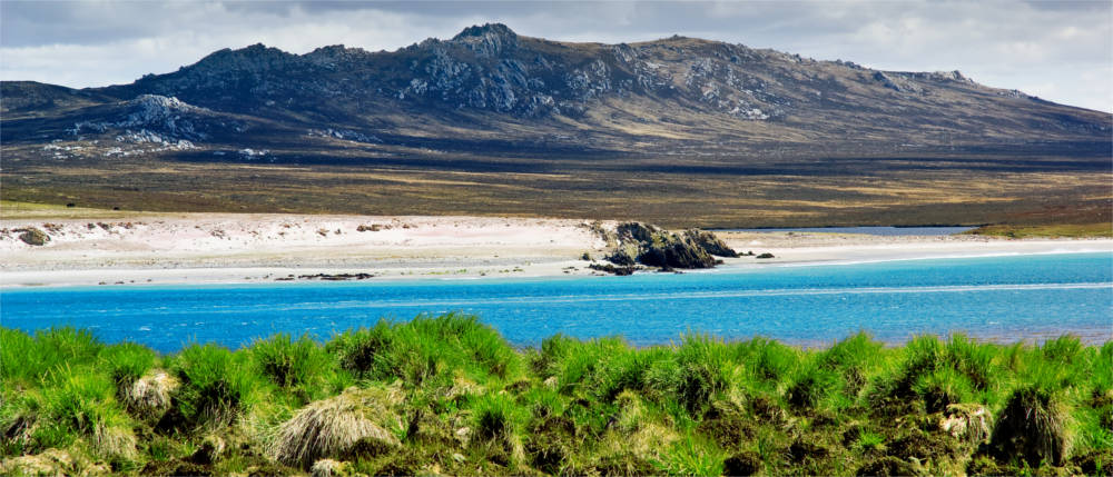 Britisches Überseegebiet Falklandinseln