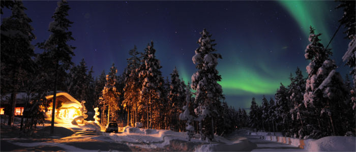 Nordlichter über den Wäldern Finnlands
