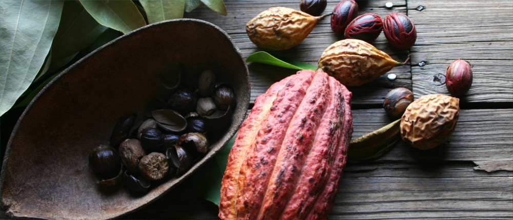 Muskat und Kakao von Grenada
