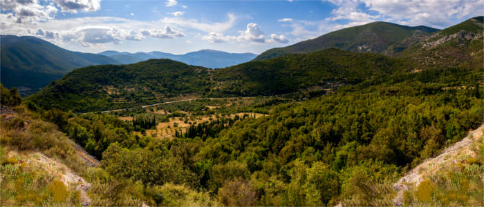 Vegetation auf Kefalonia auf den Ionischen Inseln