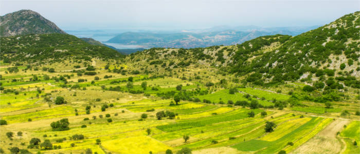 Linsenfelder auf der Ionischen Insel Lefkada
