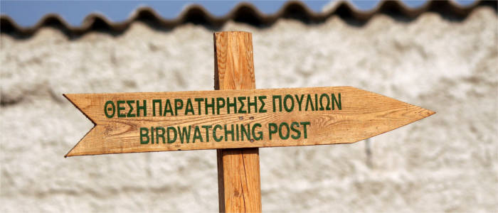 Vögel auf Lesbos beobachten