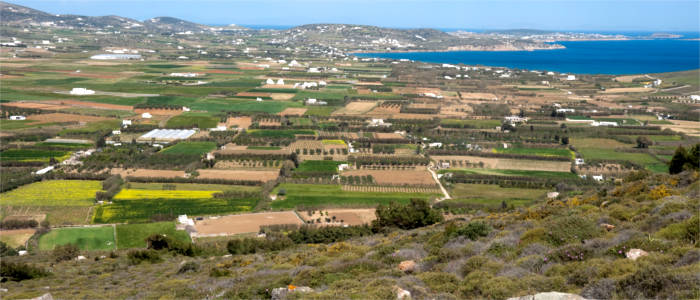 Landwirtschaft auf Paros