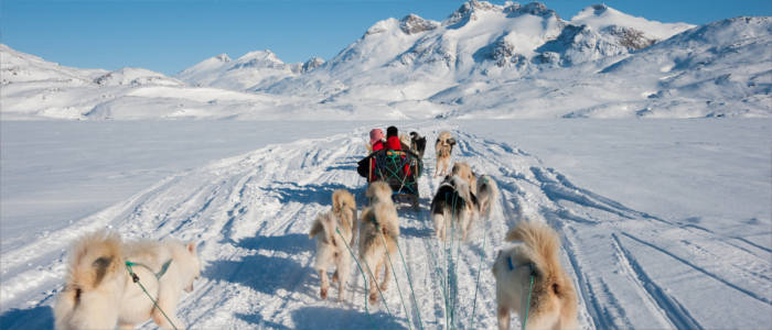 Grönlands Hundeschlittenfahrten