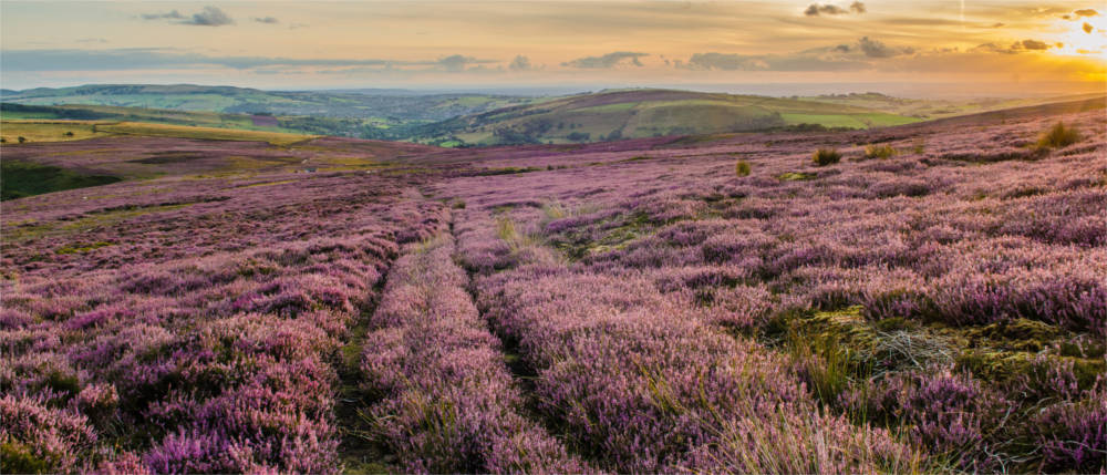 Natur im Peak District Nationalpark