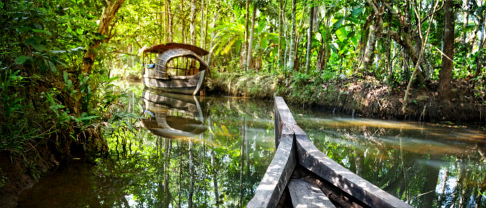 Bootstour durch indischen Regelwald - Kerala