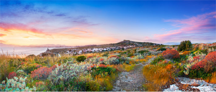 Natur auf Sardinien