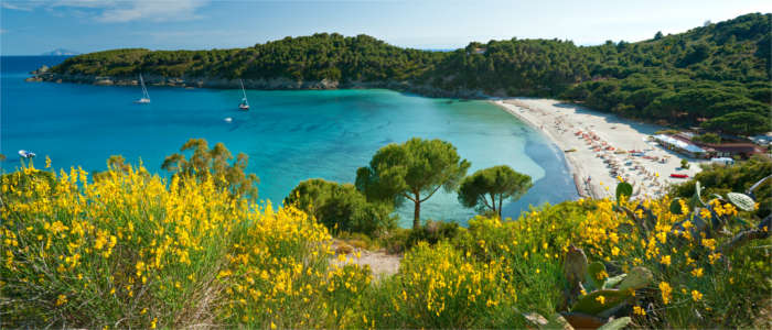 Landschaft bei Elba