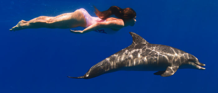 Schwimmen mit Delfinen in Jamaika
