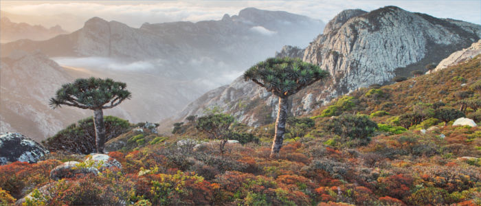 Landschaft in Jemen