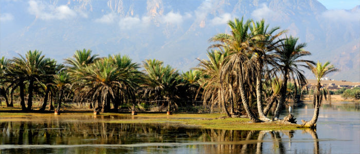 Insel Sokotra in Jemen