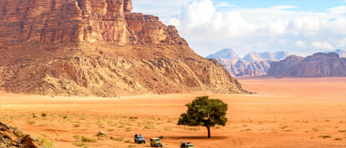 Wüste Valley of the Moon - Jordanien