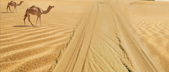 Kuwaits Wüstenabenteuer