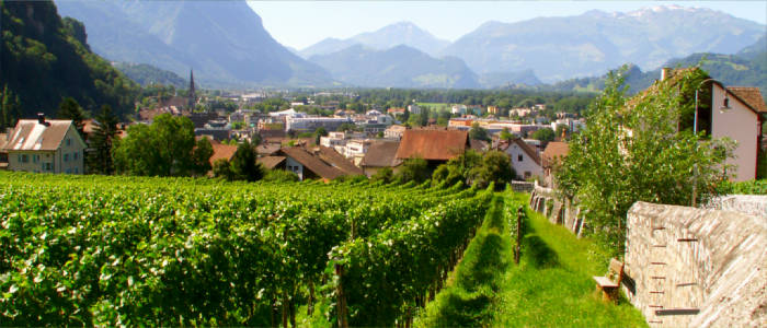 Weinkultur in Liechtenstein