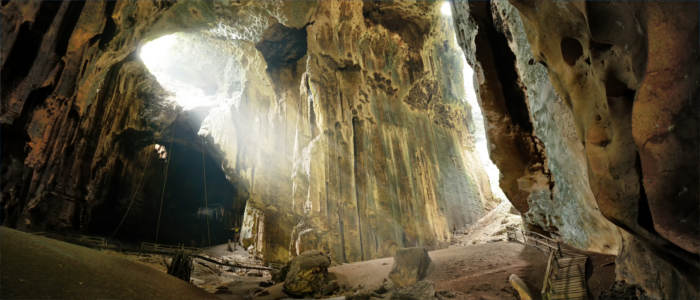 Höhle Gomantong auf Borneo